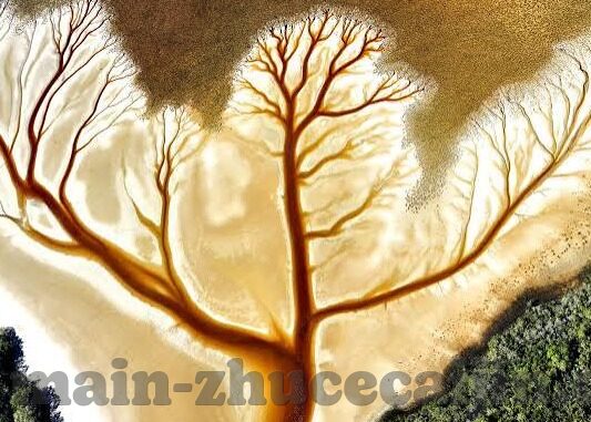 今天足球的比分-今夜绿茵场，一场3-2的逆转盛宴背后的热血与思考