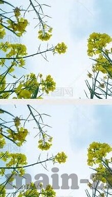 足球赛比分播报-绿茵烽火，一场惊心动魄的足球赛比分全记录与深度剖析